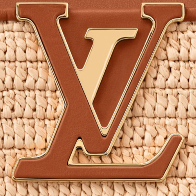 Louis Vuitton CAPUCINES MM  Handbag M57649 Caramel